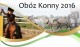 Zobacz og�oszenie
